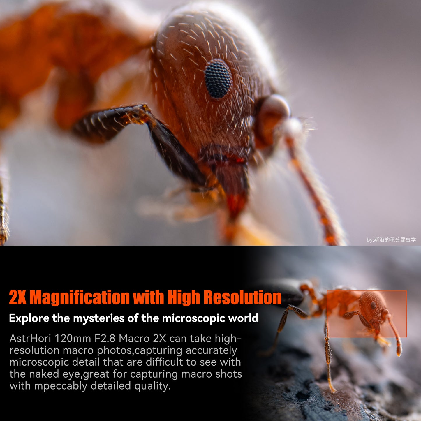 MF 120mm F2.8 Full-frame Macro Lens for E/RF/Z/L/EF