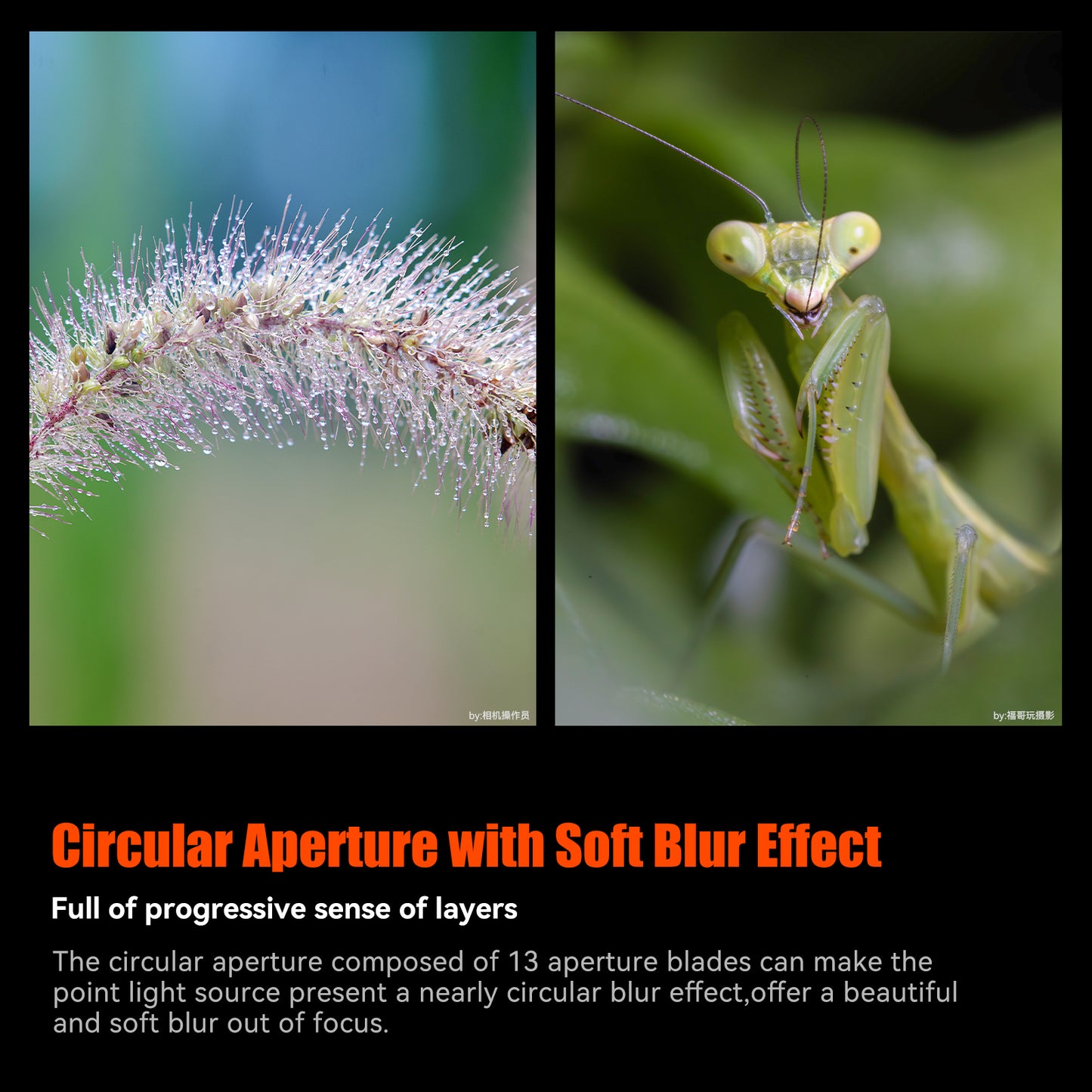 MF 120mm F2.8 Full-frame Macro Lens for E/RF/Z/L/EF