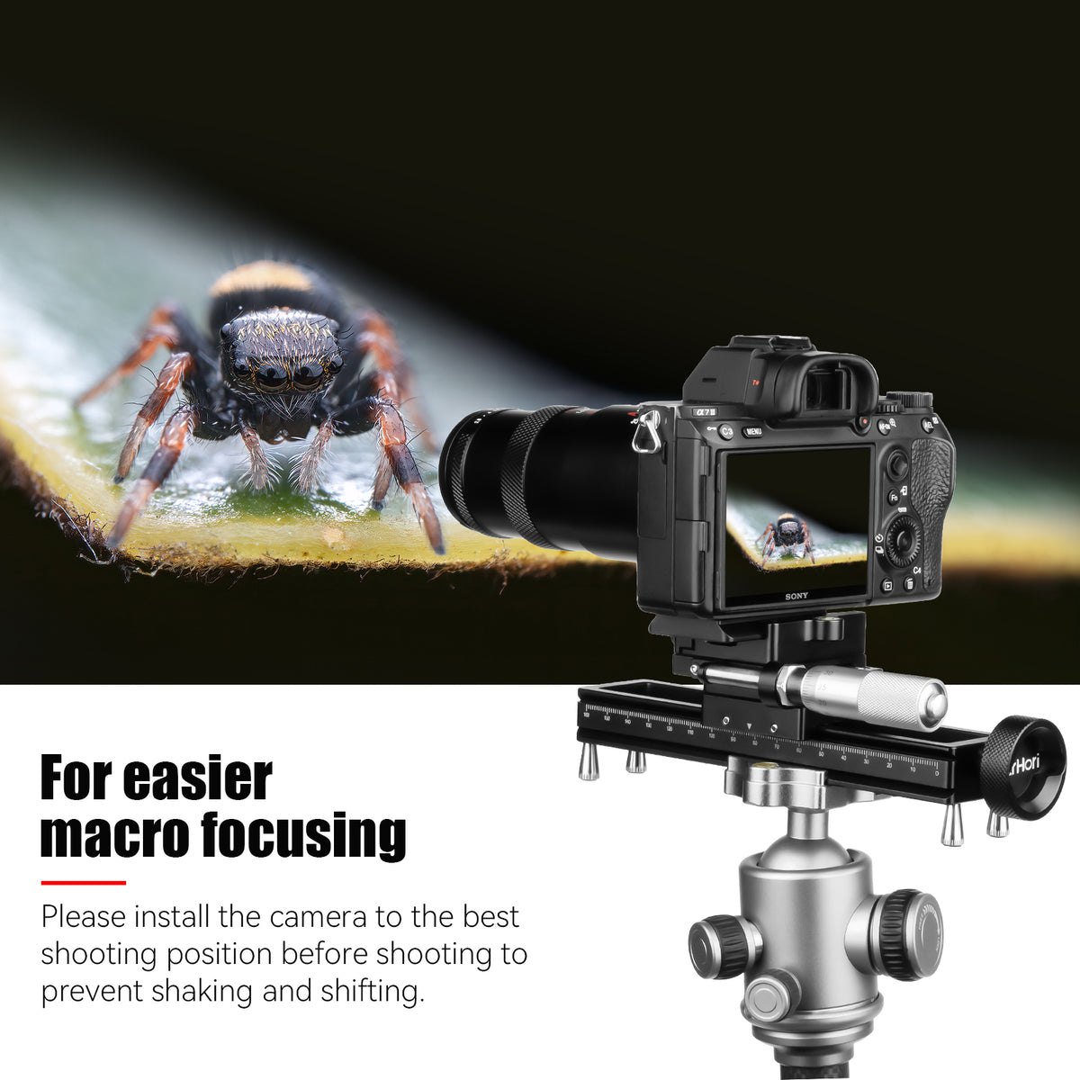 MF 25mm F2.8 Full-frame Ultra Macro Lens for E/L/RF/Z/FX