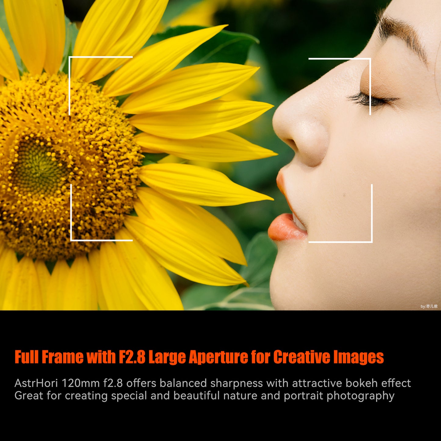 MF 120mm F2.8 Full-frame Macro Lens for E/RF/Z/L/EF