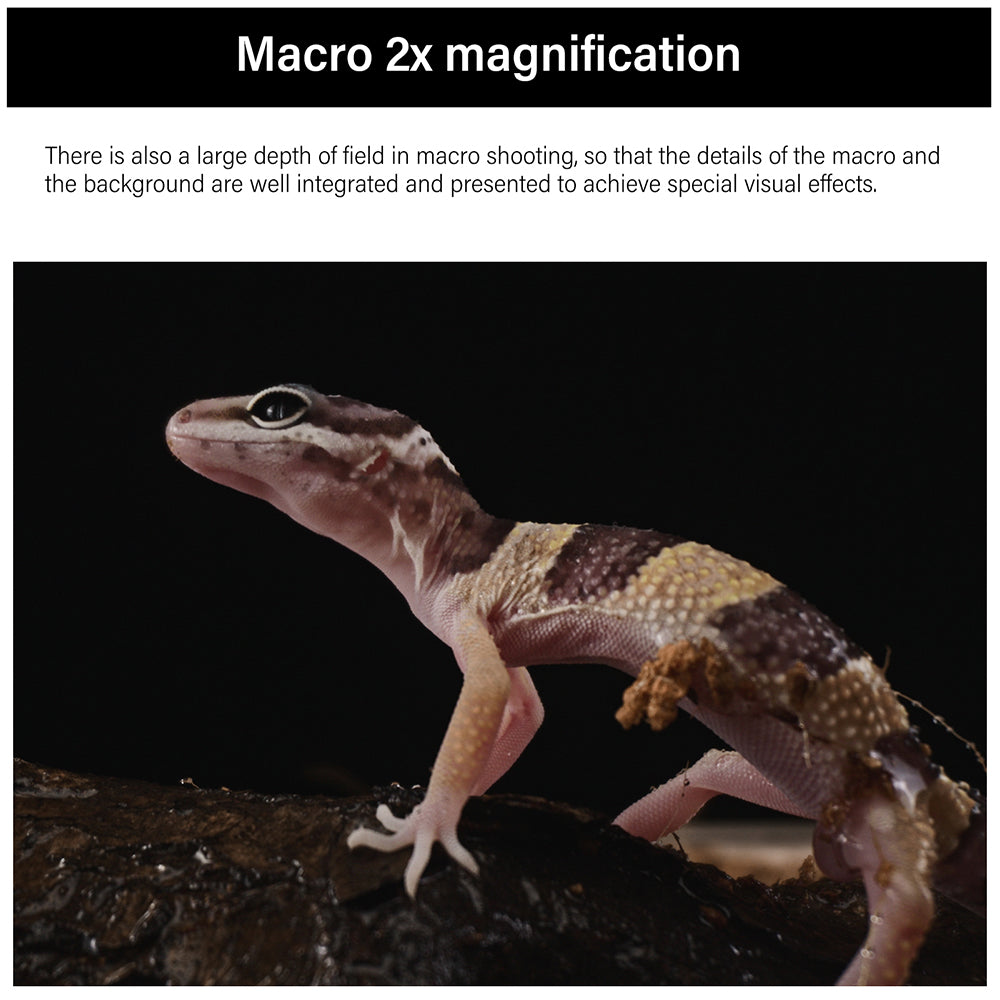 28mm F13 Full-frame 2X Macro Probe Lens for E/FX/EOS-R/L/Z/EF/F/PL
