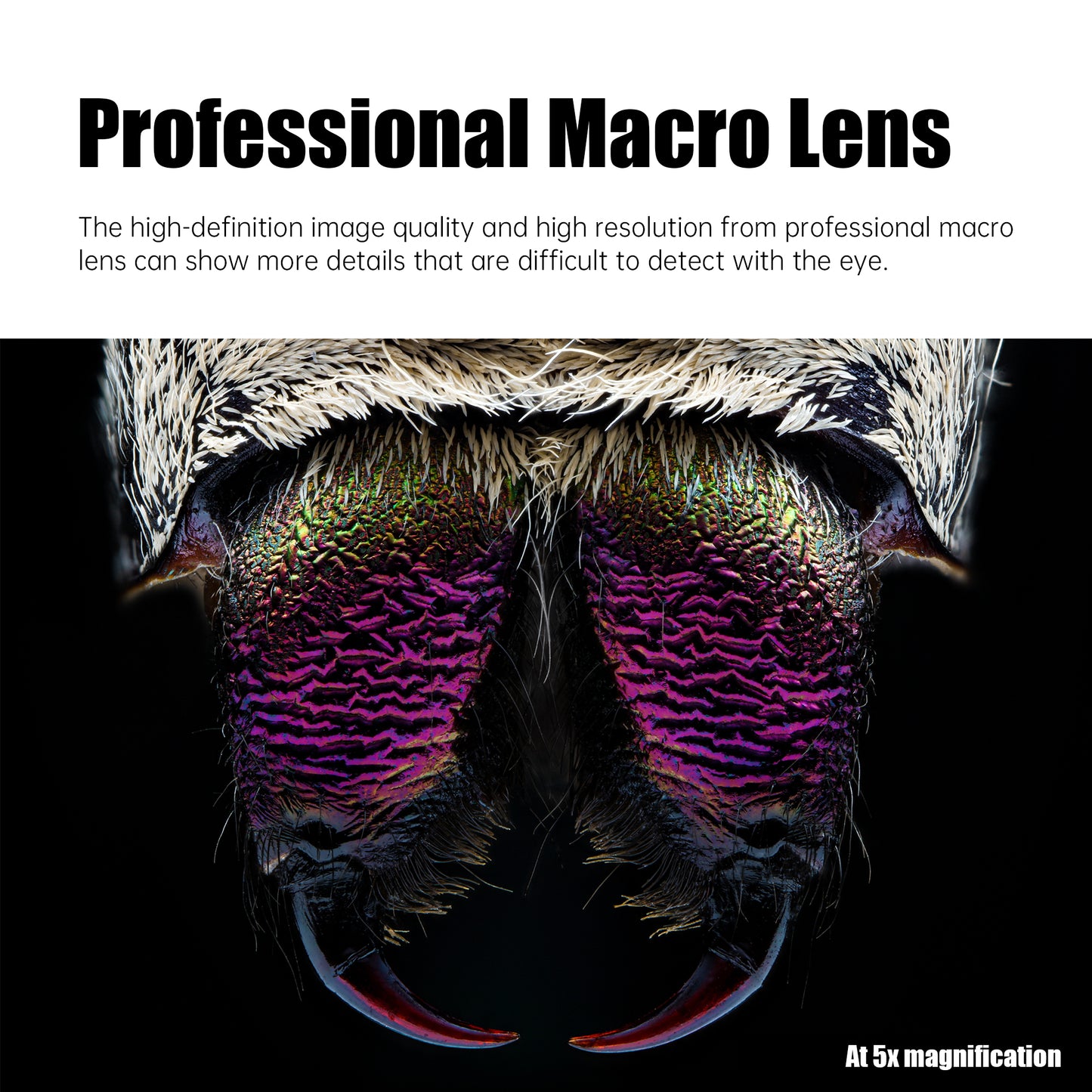 25mm F2.8 Full-frame Ultra Macro Lens for E/L/RF/Z/FX