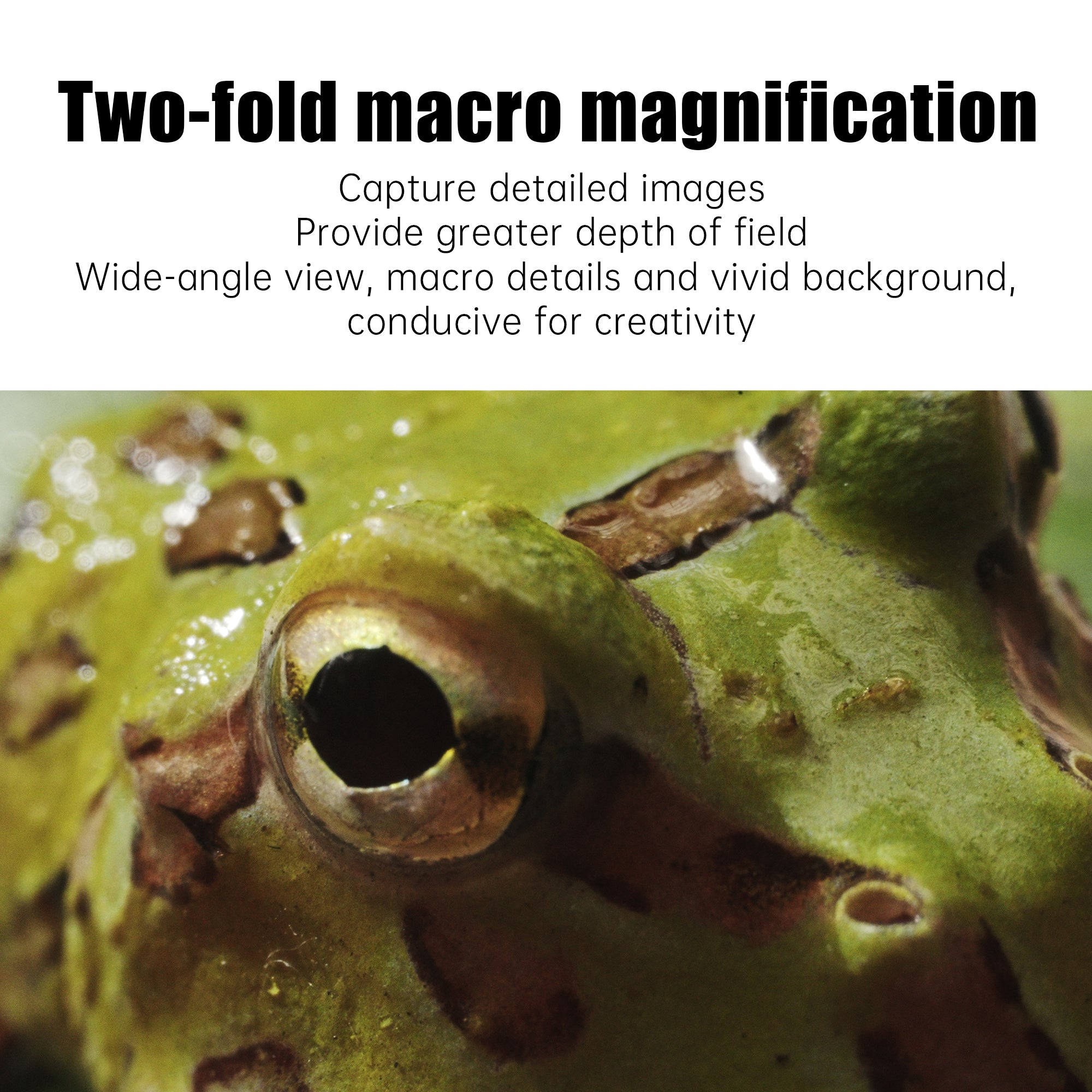 Probe Lens Insects 28mm F13 2X Macro Probe Lens Full Frame 90° View Free Switching Specia ...